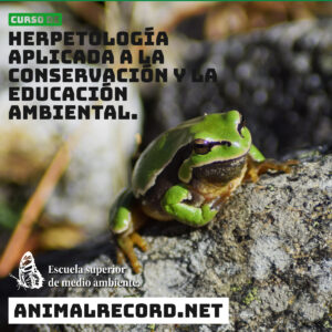 Curso de herpetología aplicada a la conservación y la educación ambiental.