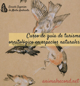 Curso de guía de turismo ornitológico en espacios naturales.