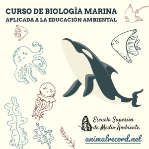 Curso de biología marina aplicada a la educación ambiental.
